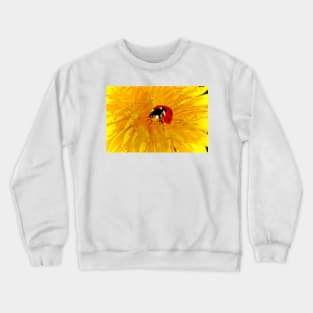 BUG BLOSSOM! Crewneck Sweatshirt